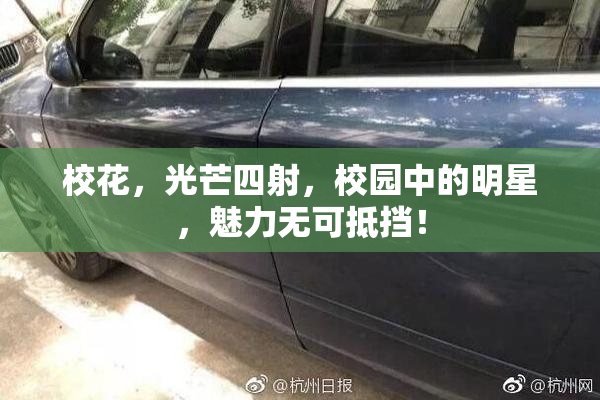 校花，光芒四射，校园中的明星，魅力无可抵挡！