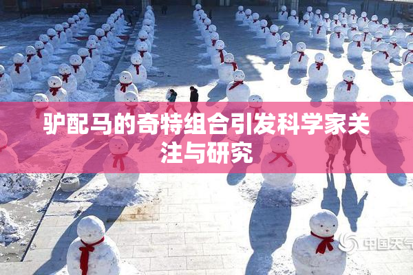 驴配马的奇特组合引发科学家关注与研究