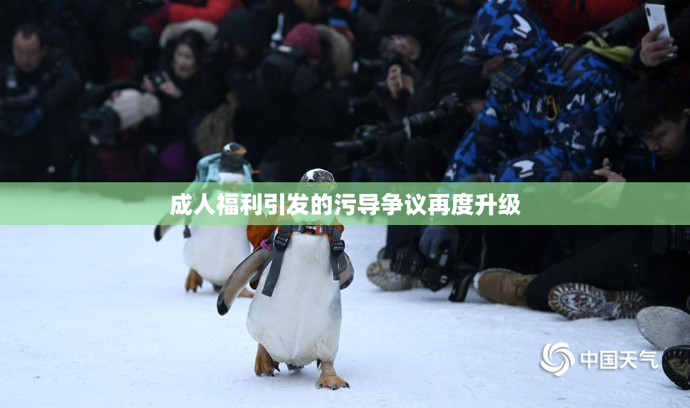 成人福利引发的污导争议再度升级