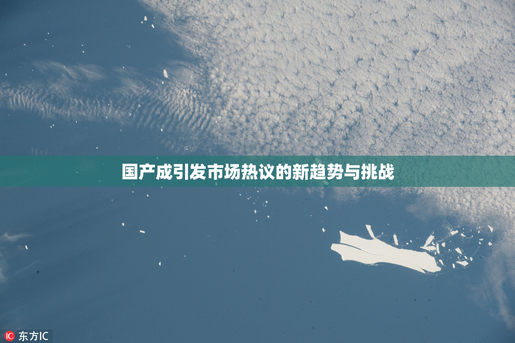 国产成引发市场热议的新趋势与挑战