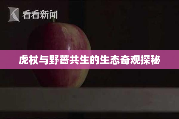 虎杖与野蔷共生的生态奇观探秘