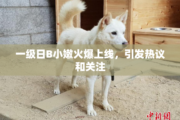 一级日B小嫩火爆上线，引发热议和关注