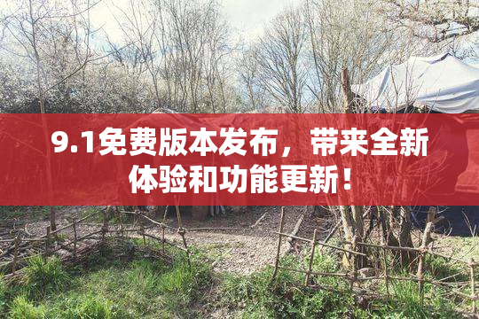 9.1免费版本发布，带来全新体验和功能更新！