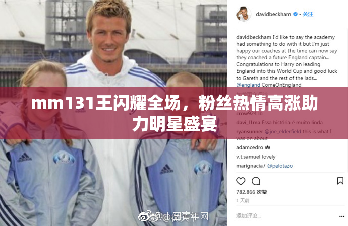 mm131王闪耀全场，粉丝热情高涨助力明星盛宴