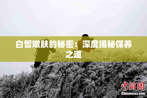 白皙嫩肤的秘密：深度揭秘保养之道