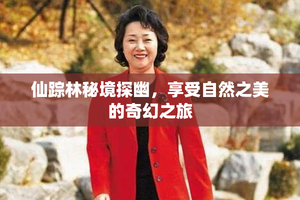 仙踪林秘境探幽，享受自然之美的奇幻之旅