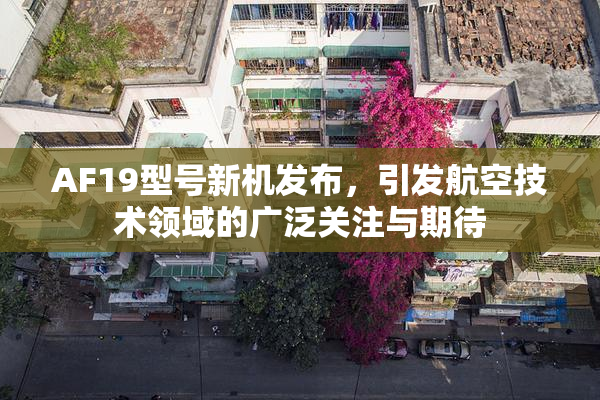 AF19型号新机发布，引发航空技术领域的广泛关注与期待