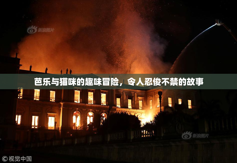芭乐与猫咪的趣味冒险，令人忍俊不禁的故事