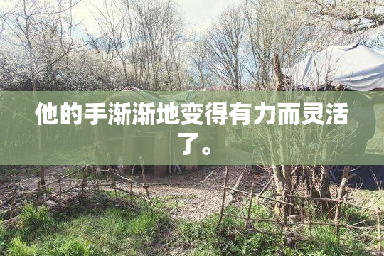 他的手渐渐地变得有力而灵活了。