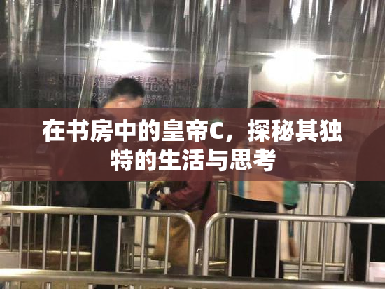 在书房中的皇帝C，探秘其独特的生活与思考
