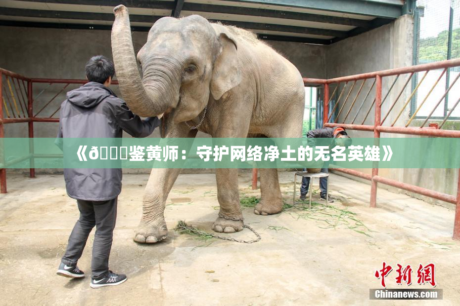 《🔞鉴黄师：守护网络净土的无名英雄》