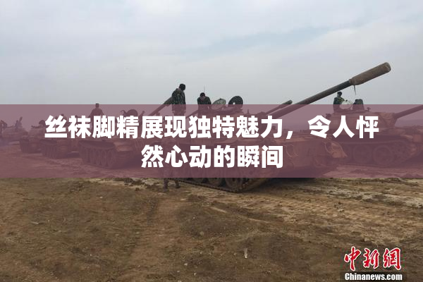 丝袜脚精展现独特魅力，令人怦然心动的瞬间