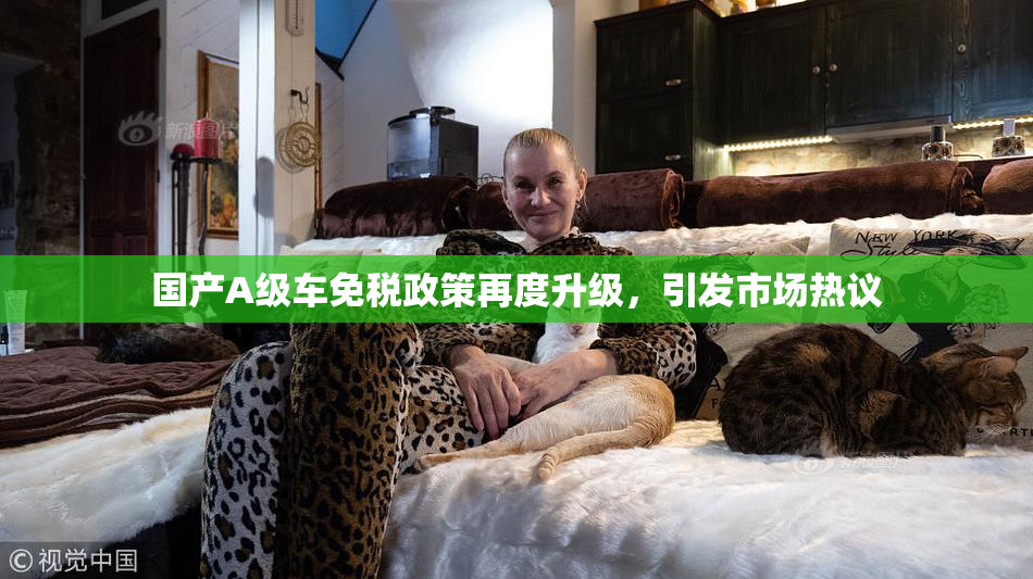 国产A级车免税政策再度升级，引发市场热议