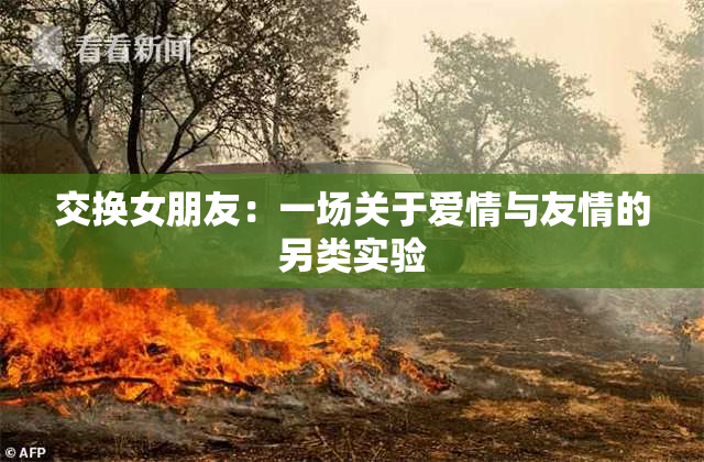 交换女朋友：一场关于爱情与友情的另类实验