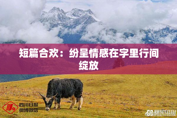短篇合欢：纷呈情感在字里行间绽放