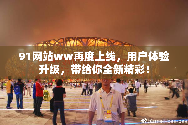 91网站ww再度上线，用户体验升级，带给你全新精彩！