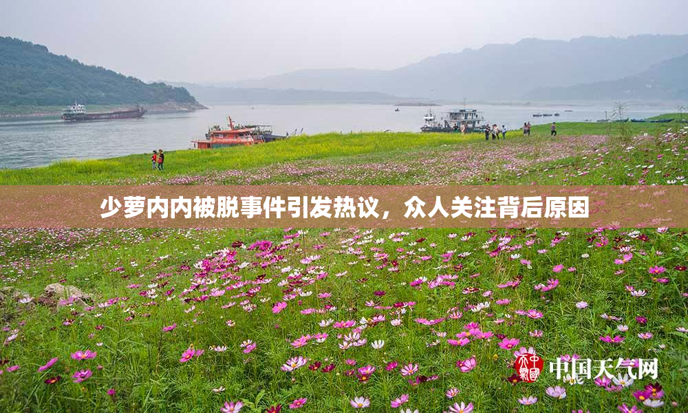 少萝内内被脱事件引发热议，众人关注背后原因