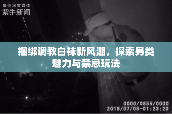 捆绑调教白袜新风潮，探索另类魅力与禁忌玩法
