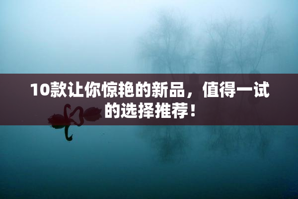 10款让你惊艳的新品，值得一试的选择推荐！