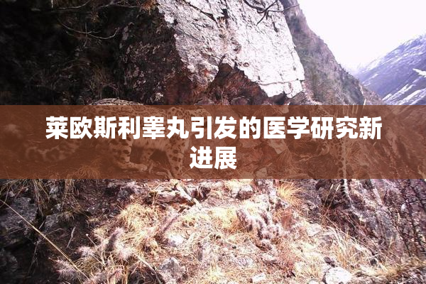 莱欧斯利睾丸引发的医学研究新进展