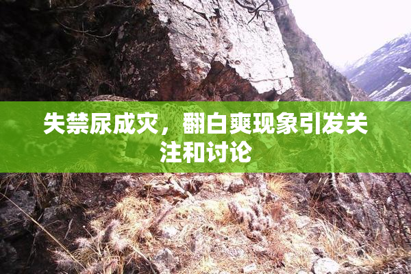 失禁尿成灾，翻白爽现象引发关注和讨论