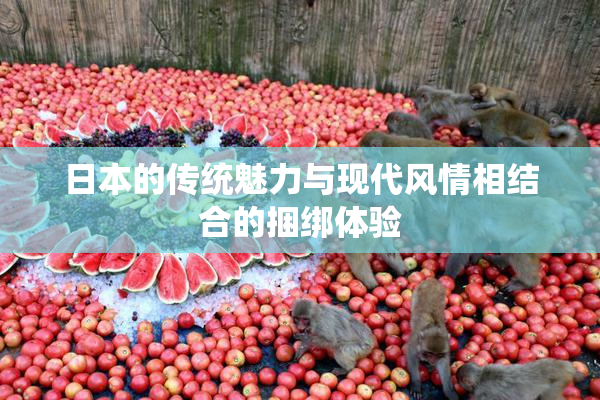 日本的传统魅力与现代风情相结合的捆绑体验