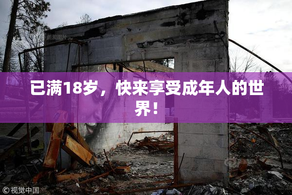 已满18岁，快来享受成年人的世界！