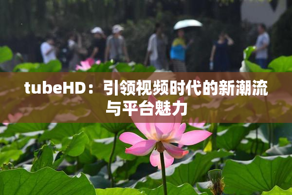 tubeHD：引领视频时代的新潮流与平台魅力