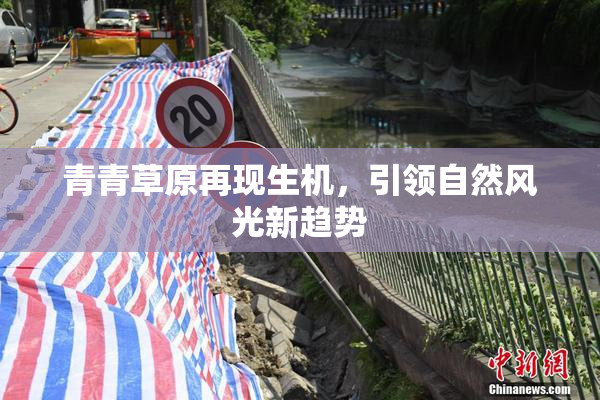 青青草原再现生机，引领自然风光新趋势