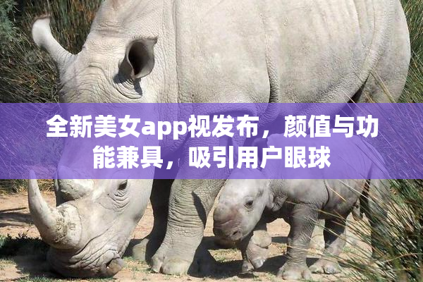 全新美女app视发布，颜值与功能兼具，吸引用户眼球