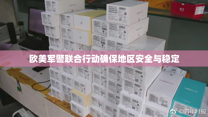 欧美军警联合行动确保地区安全与稳定