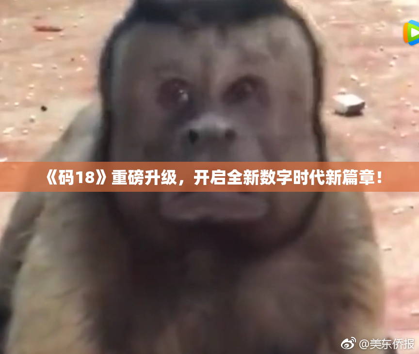 《码18》重磅升级，开启全新数字时代新篇章！