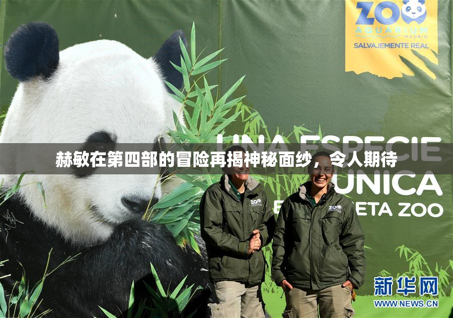 赫敏在第四部的冒险再揭神秘面纱，令人期待