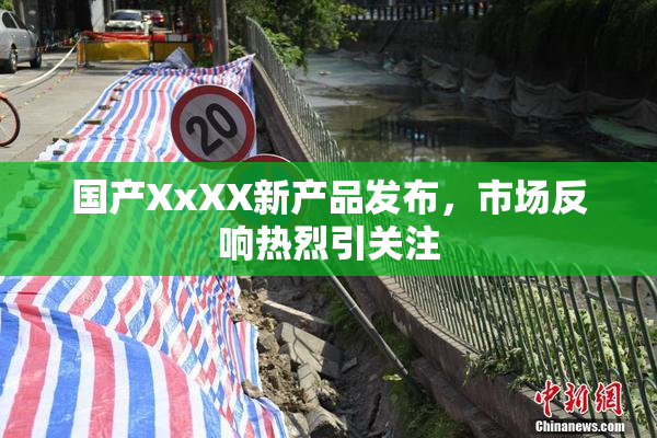 国产XxXX新产品发布，市场反响热烈引关注