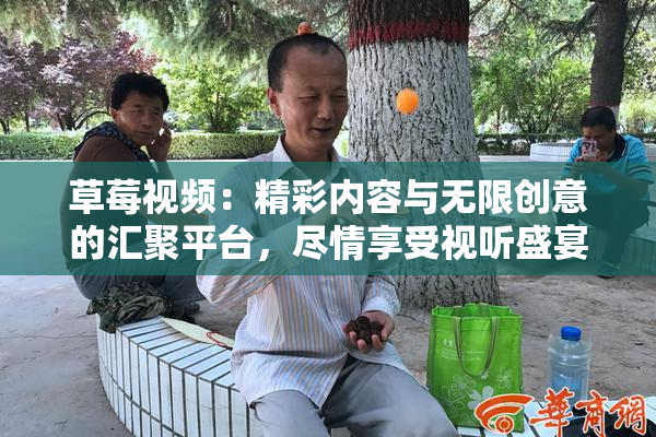 草莓视频：精彩内容与无限创意的汇聚平台，尽情享受视听盛宴