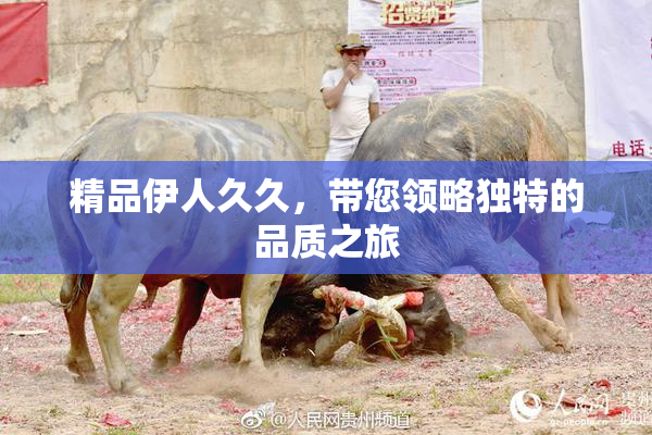 精品伊人久久，带您领略独特的品质之旅
