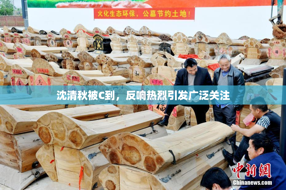 沈清秋被C到，反响热烈引发广泛关注