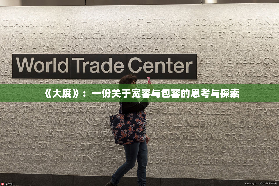《大度》：一份关于宽容与包容的思考与探索
