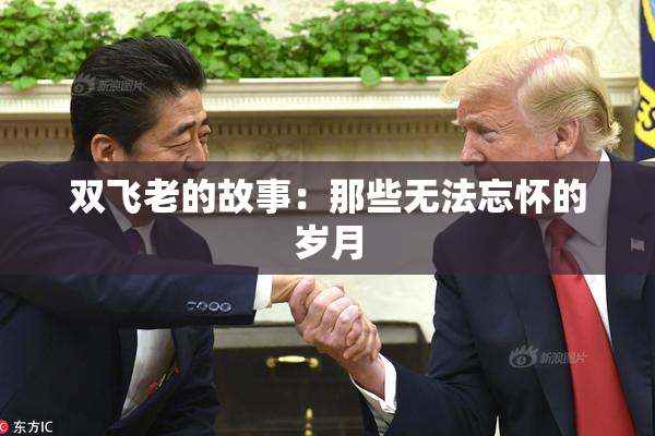 双飞老的故事：那些无法忘怀的岁月