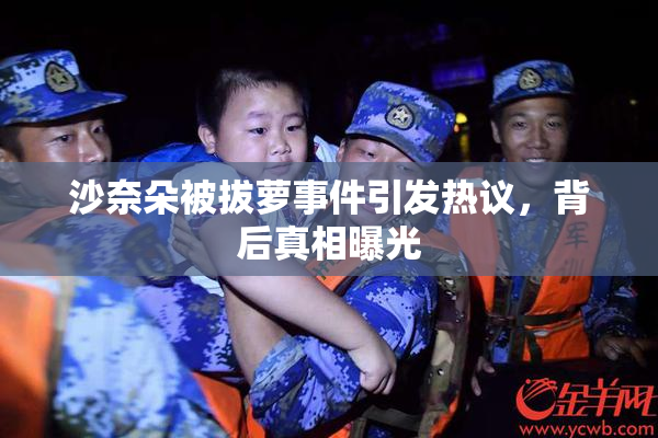 沙奈朵被拔萝事件引发热议，背后真相曝光