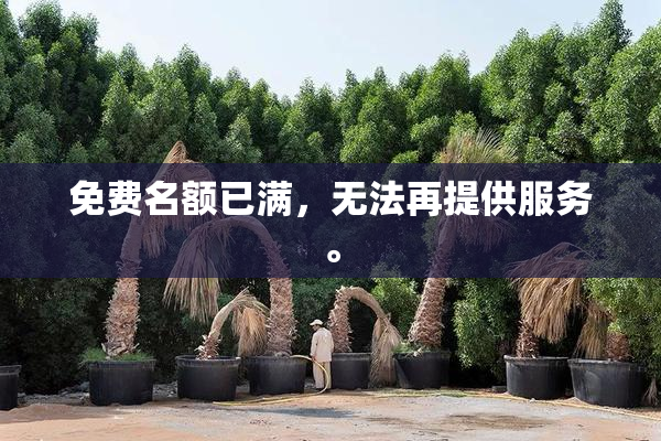 免费名额已满，无法再提供服务。