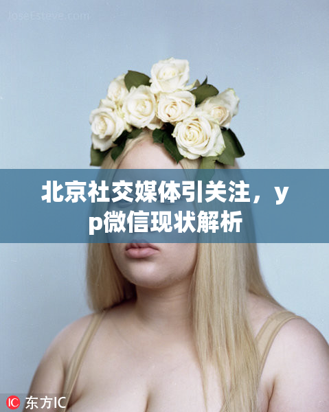 北京社交媒体引关注，yp微信现状解析