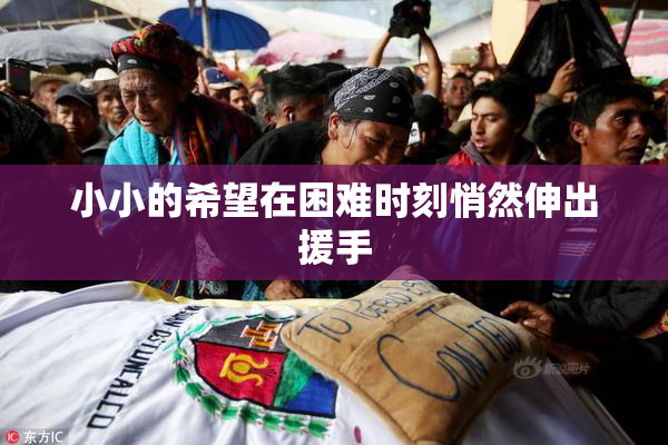 小小的希望在困难时刻悄然伸出援手