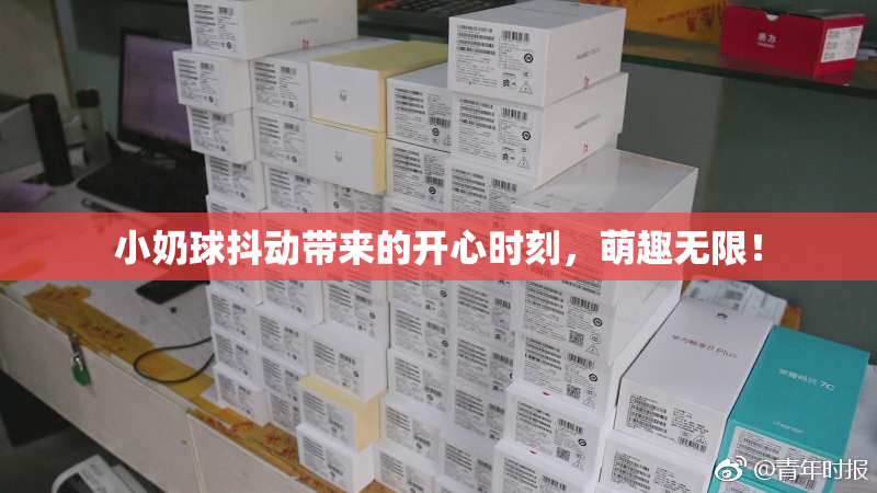 小奶球抖动带来的开心时刻，萌趣无限！
