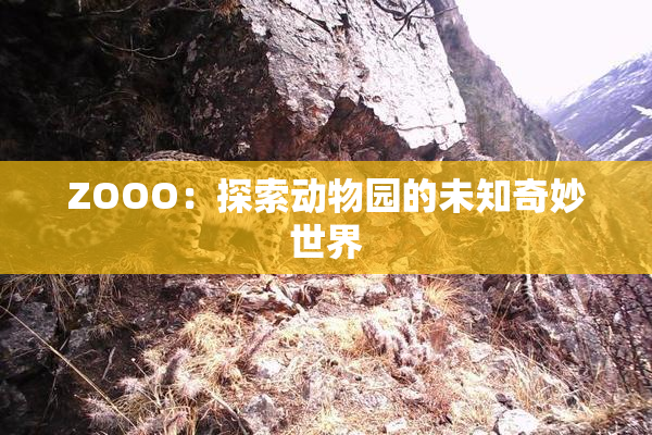 ZOOO：探索动物园的未知奇妙世界
