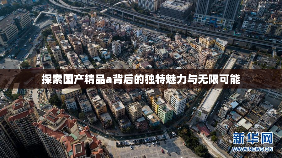 探索国产精品a背后的独特魅力与无限可能