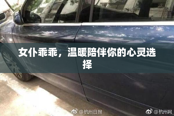 女仆乖乖，温暖陪伴你的心灵选择