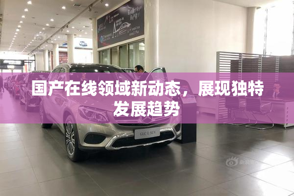 国产在线领域新动态，展现独特发展趋势