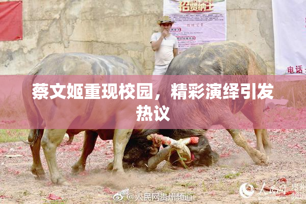蔡文姬重现校园，精彩演绎引发热议