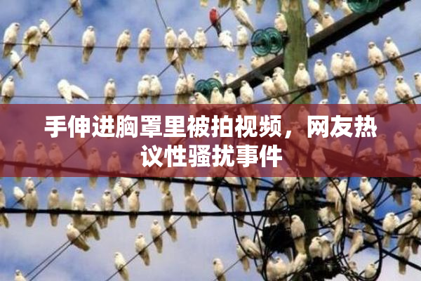 手伸进胸罩里被拍视频，网友热议性骚扰事件